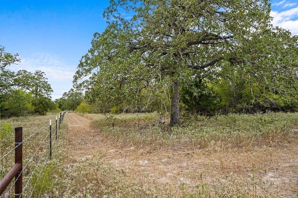 23.36 acres in Fayette County - photo 3
