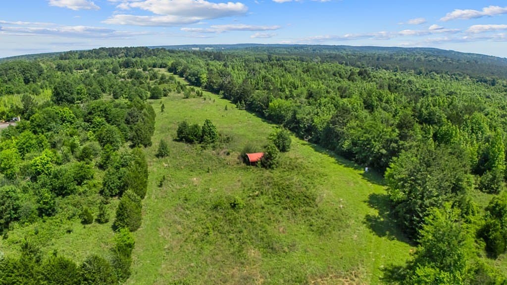 116.6 acres in Texas County - photo 6