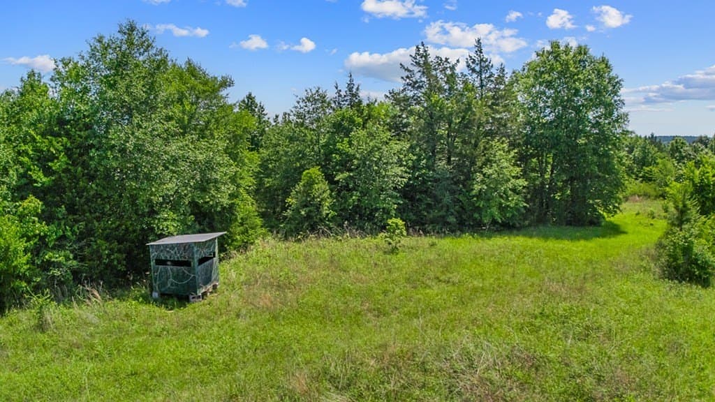 116.6 acres in Texas County gallery image 3