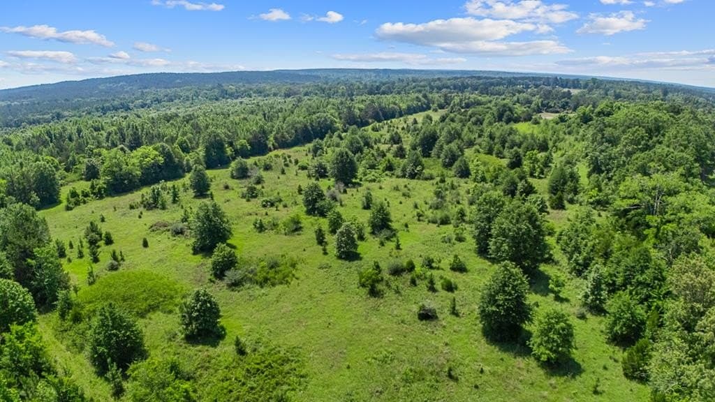 116.6 acres in Texas County