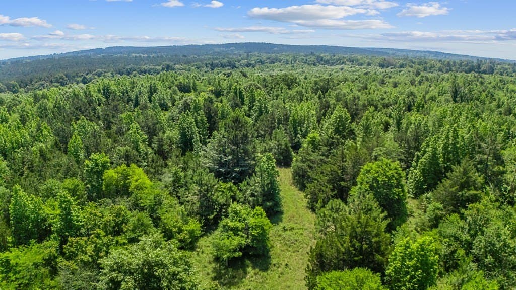 116.6 acres in Texas County gallery image 2