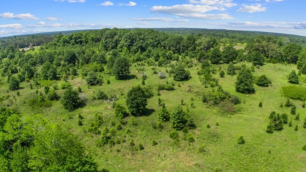 116.6 acres in Texas County gallery image 4