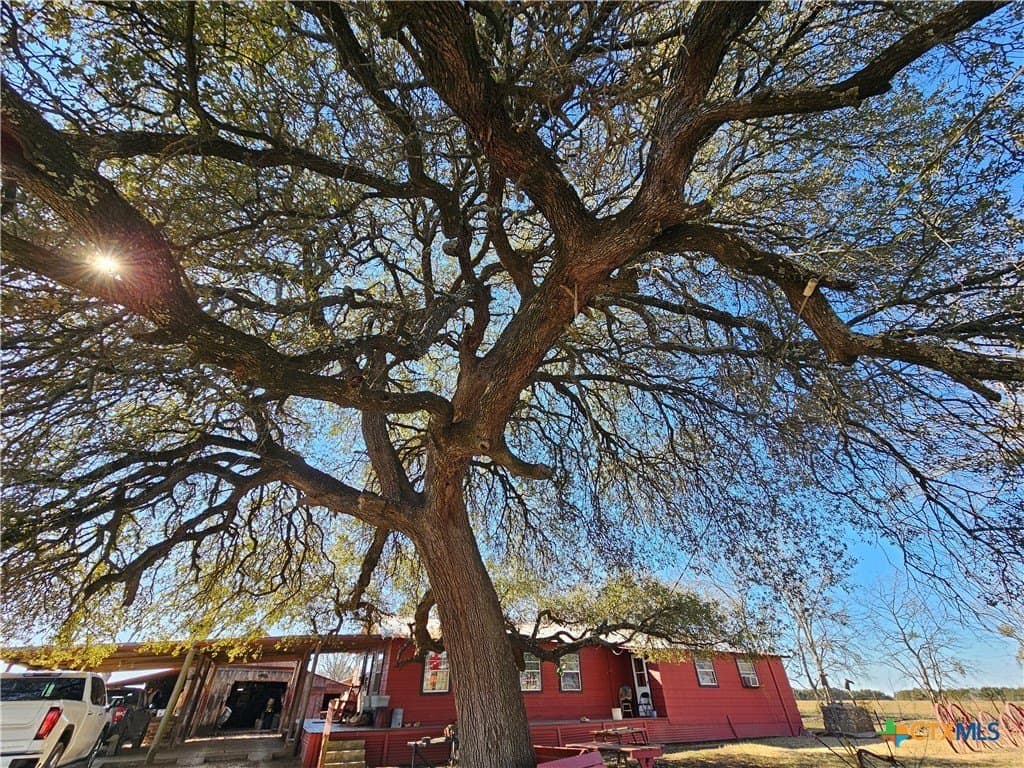 170.1 acres in Bosque County - photo 4