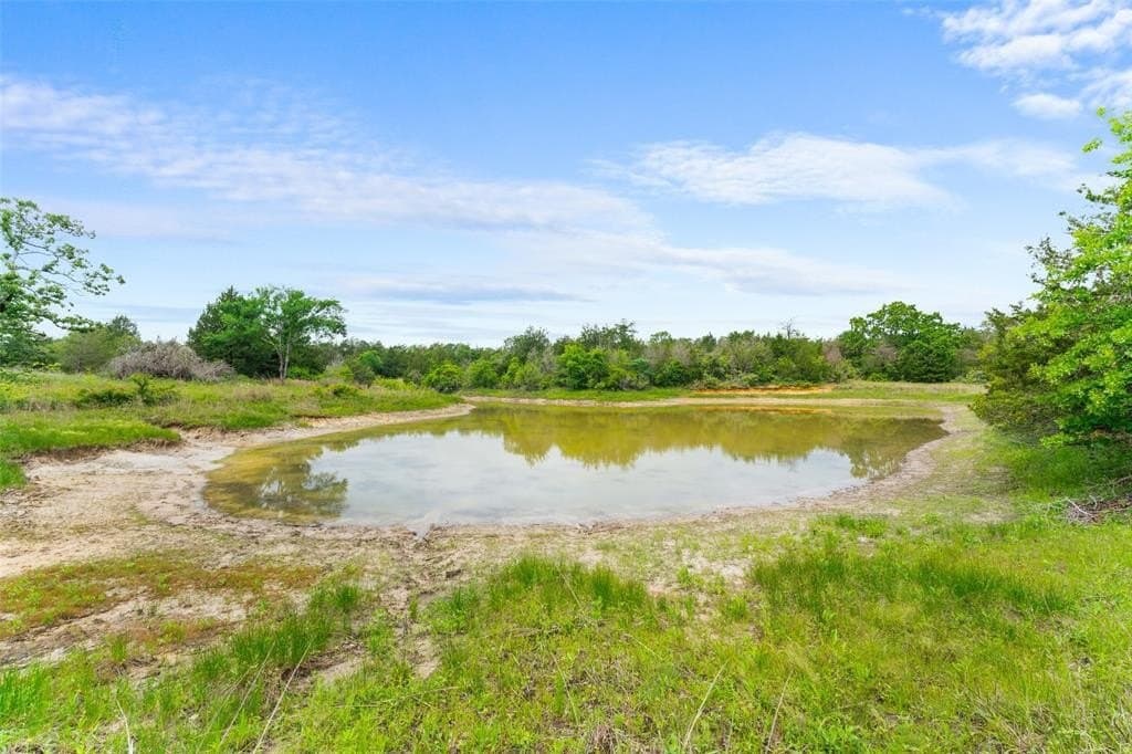 113.49 acres in Limestone County gallery image 4