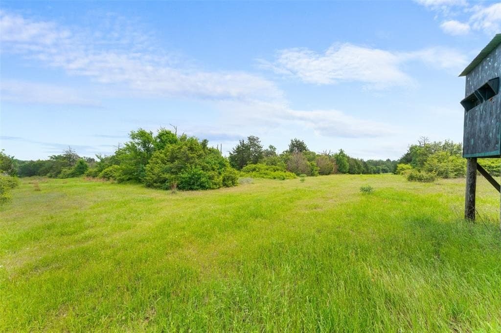 113.49 acres in Limestone County gallery image 3