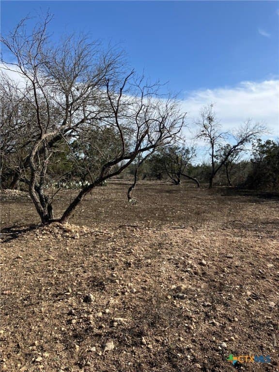 3.03 acres in Real County gallery image 2