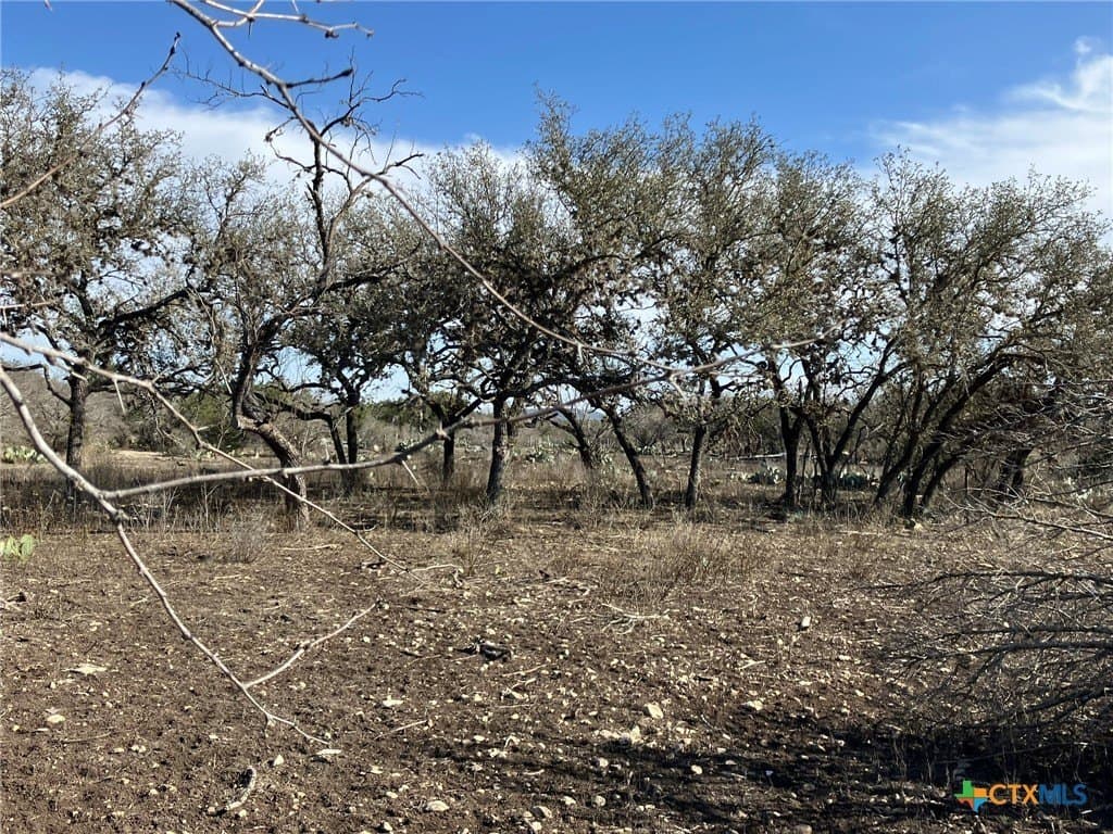 3.03 acres in Real County featured view