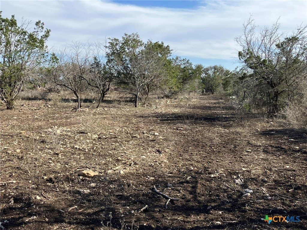 3.03 acres in Real County gallery image 4