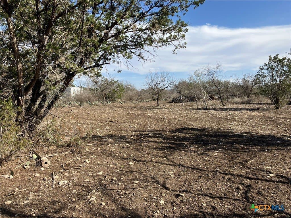 3.03 acres in Real County gallery image 3