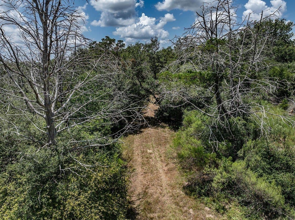 29.25 acres in Colorado County - photo 5