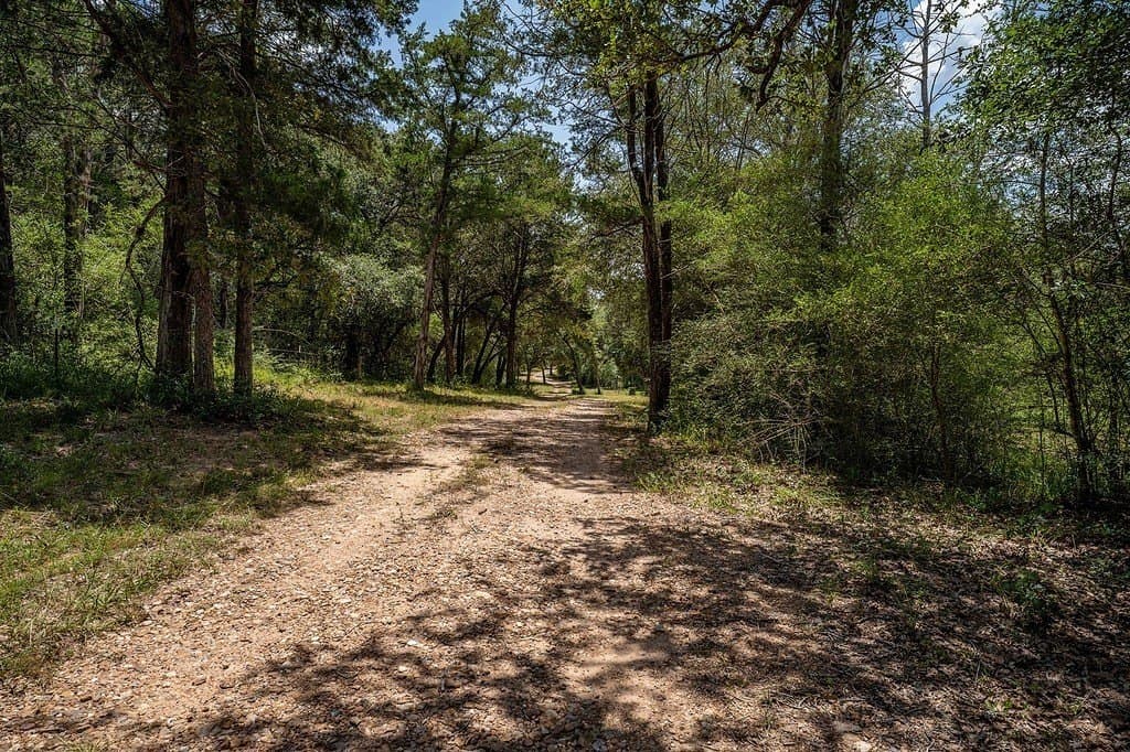 29.25 acres in Colorado County - photo 10
