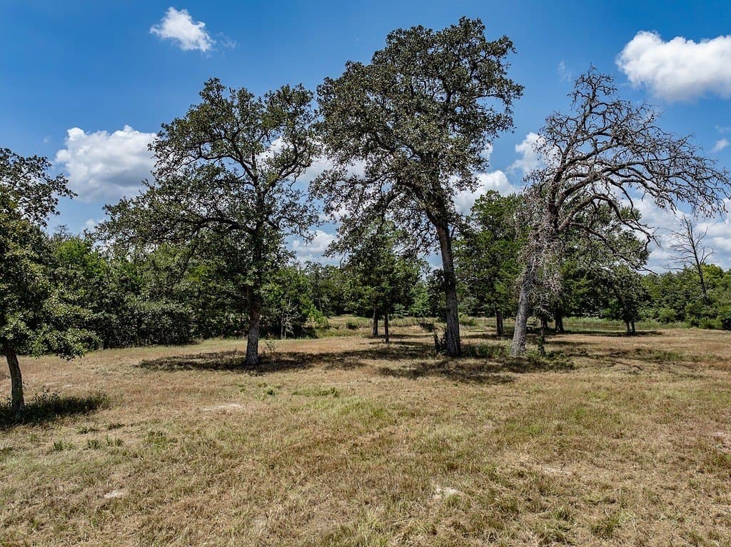 29.25 acres in Colorado County - photo 8