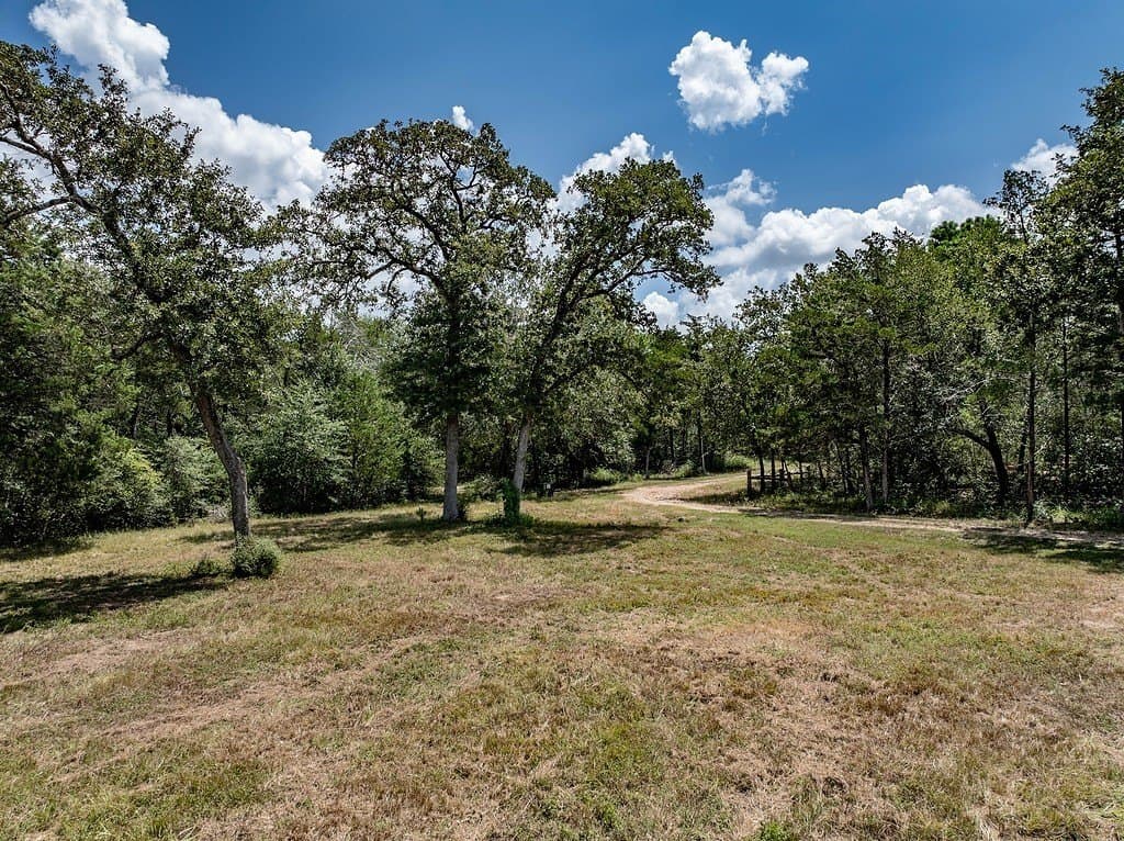29.25 acres in Colorado County - photo 16