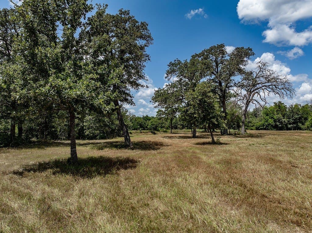 29.25 acres in Colorado County - photo 17