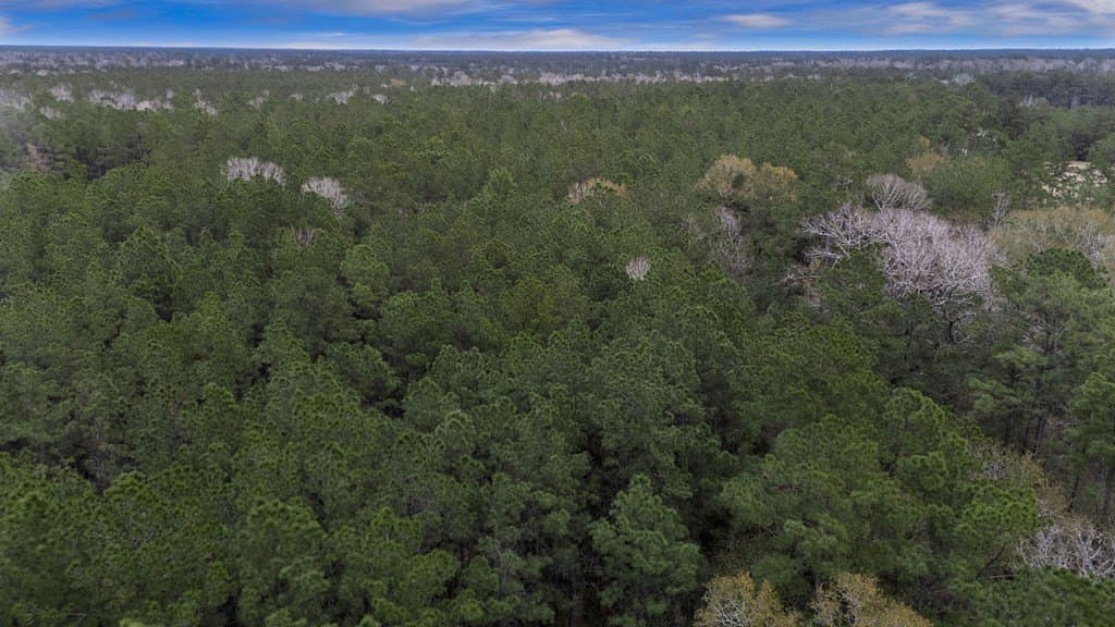 12.4 acres in Texas County featured view