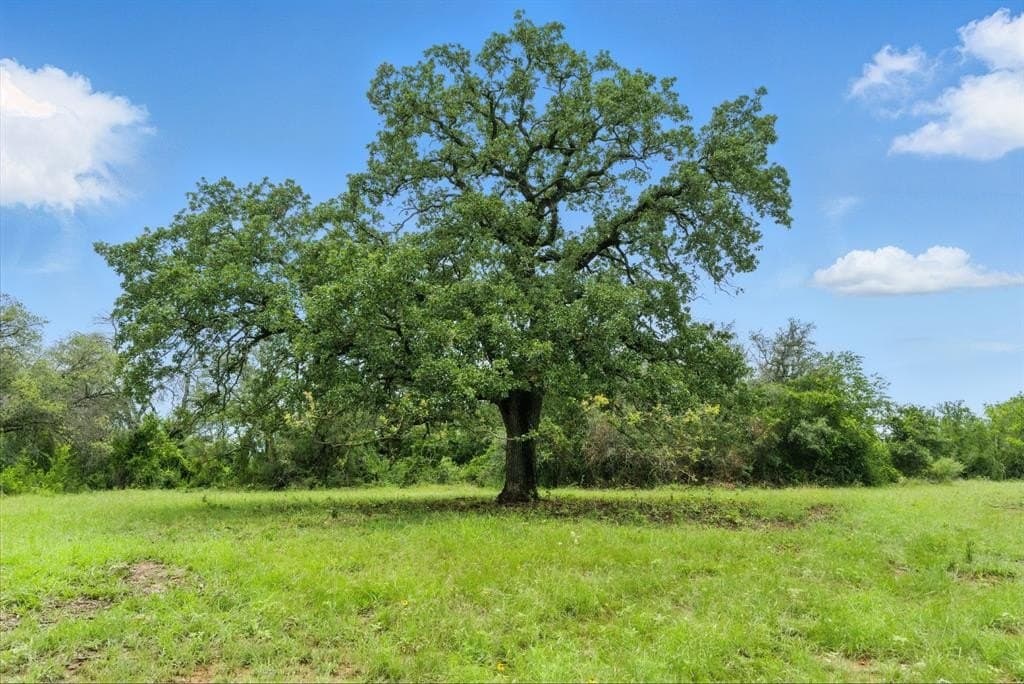 107.42 acres in Erath County featured view