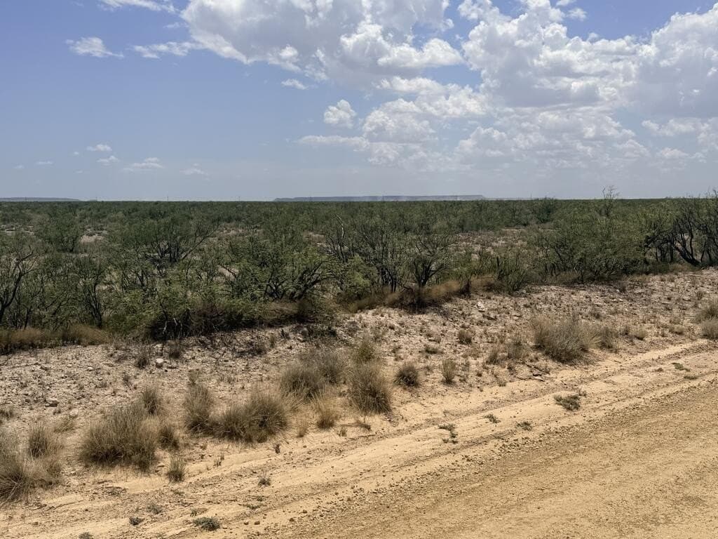 55.82 acres in Pecos County - photo 5
