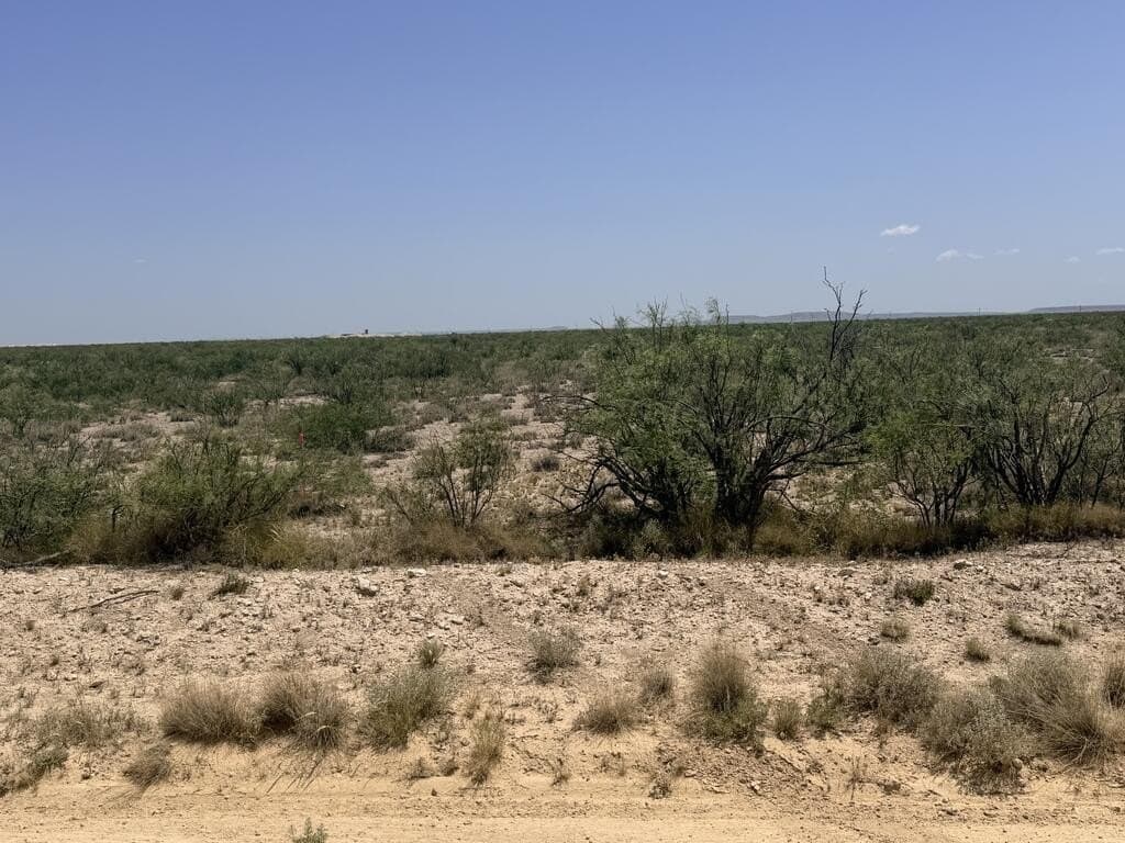 55.82 acres in Pecos County - photo 2