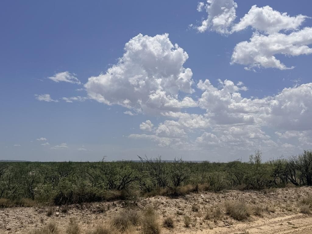 55.82 acres in Pecos County