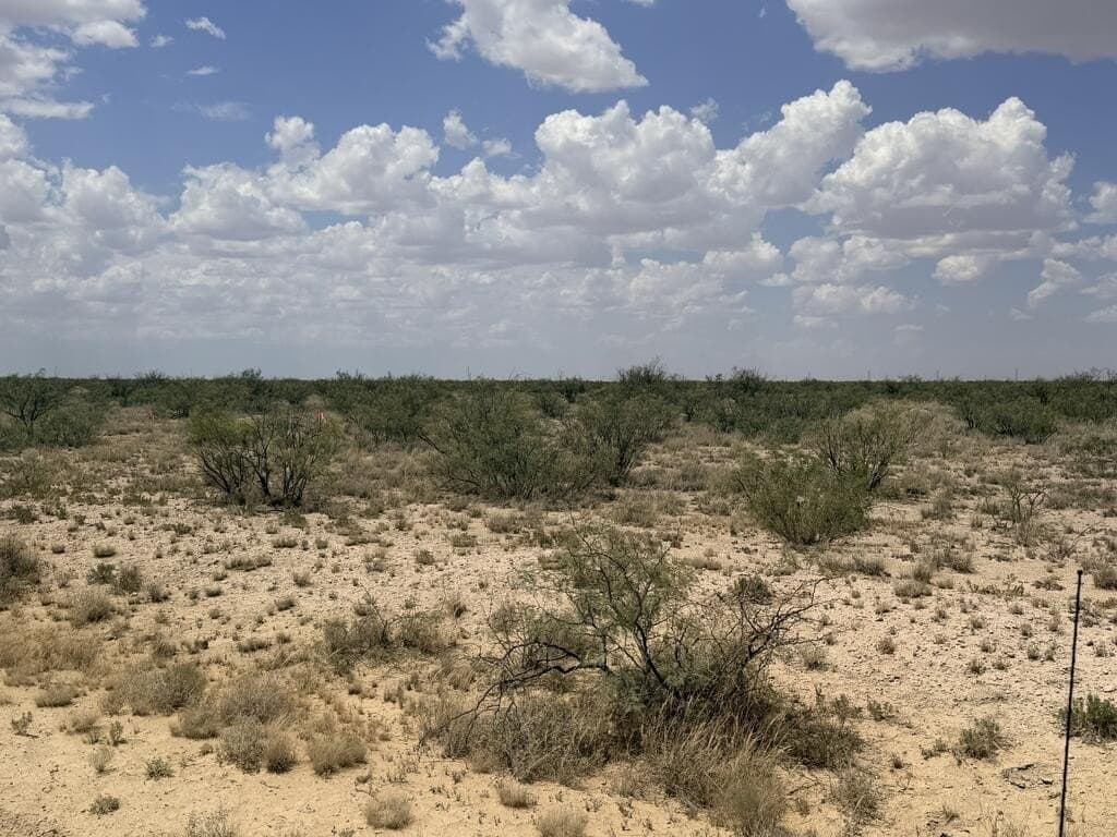 55.82 acres in Pecos County - photo 3