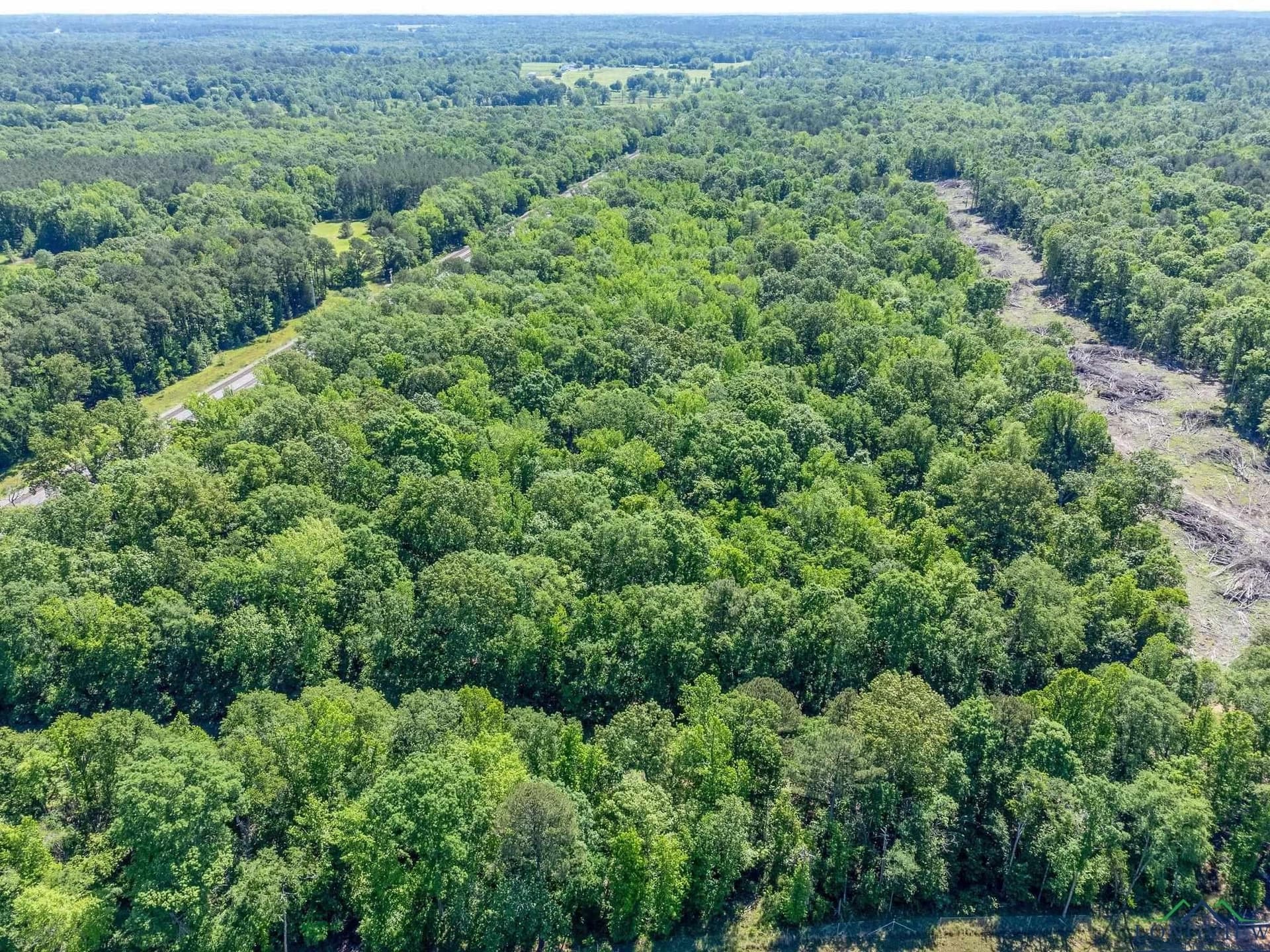 50.18 acres in Texas County gallery image 2