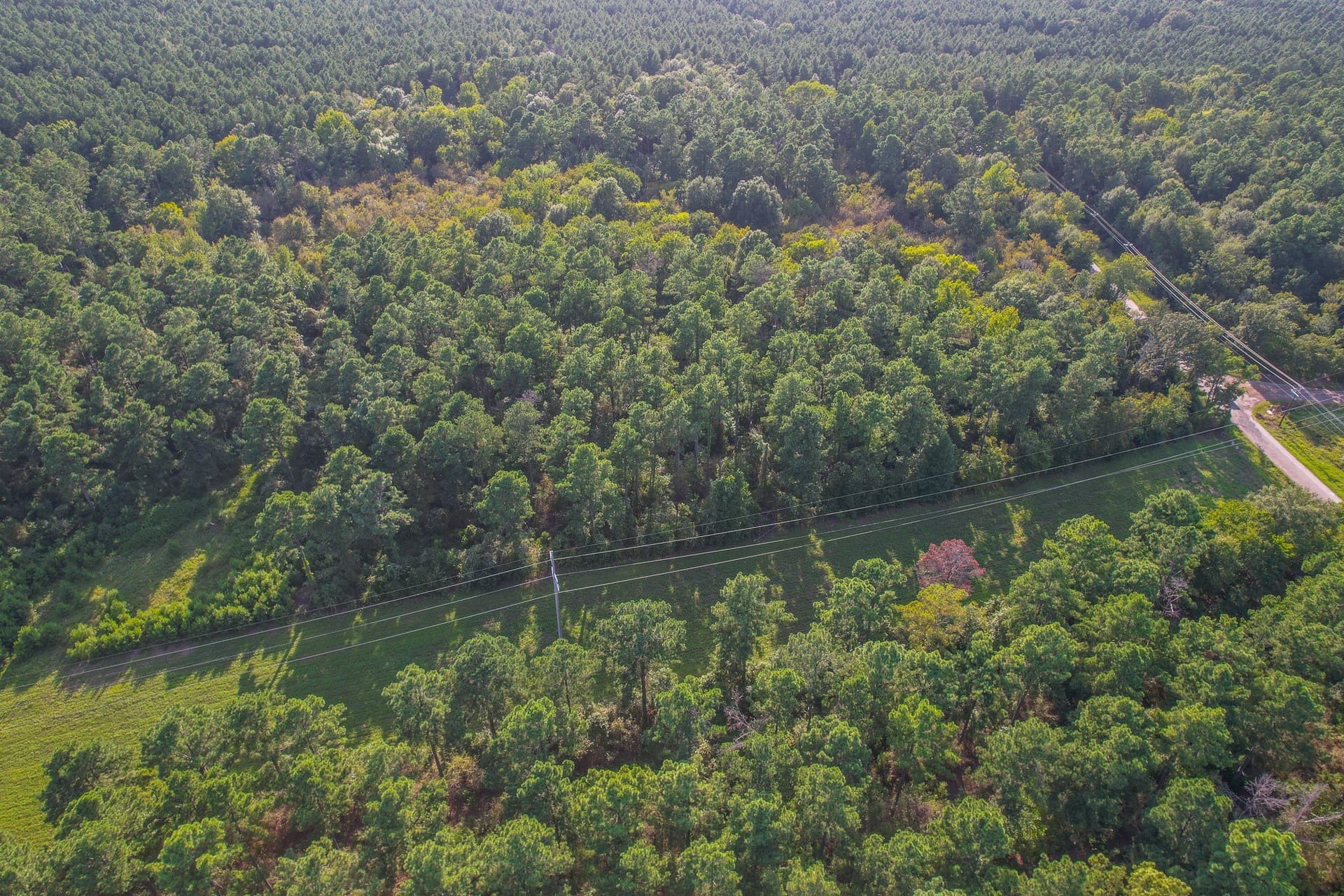29 acres in Henderson County - photo 12