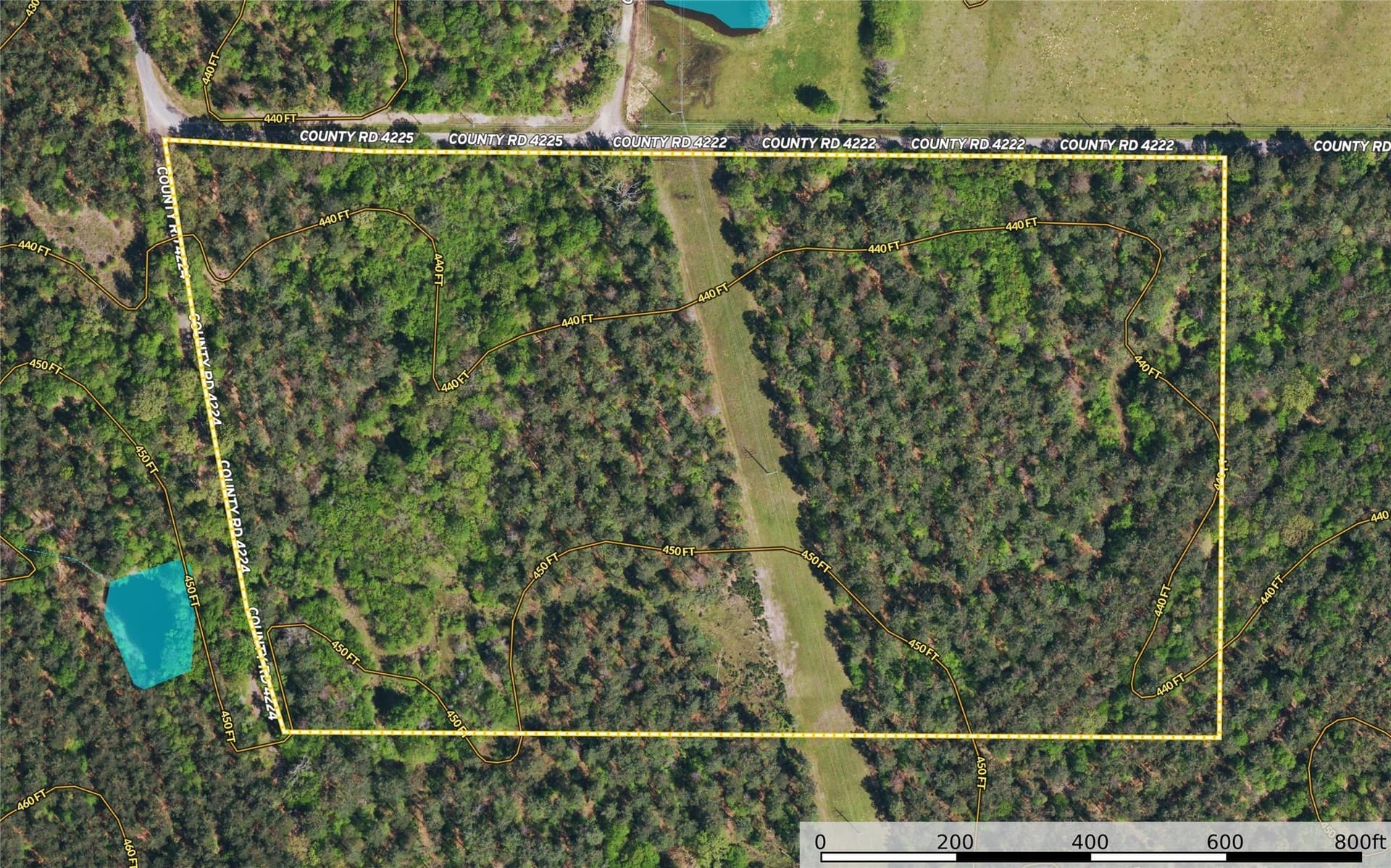 29 acres in Henderson County - photo 15