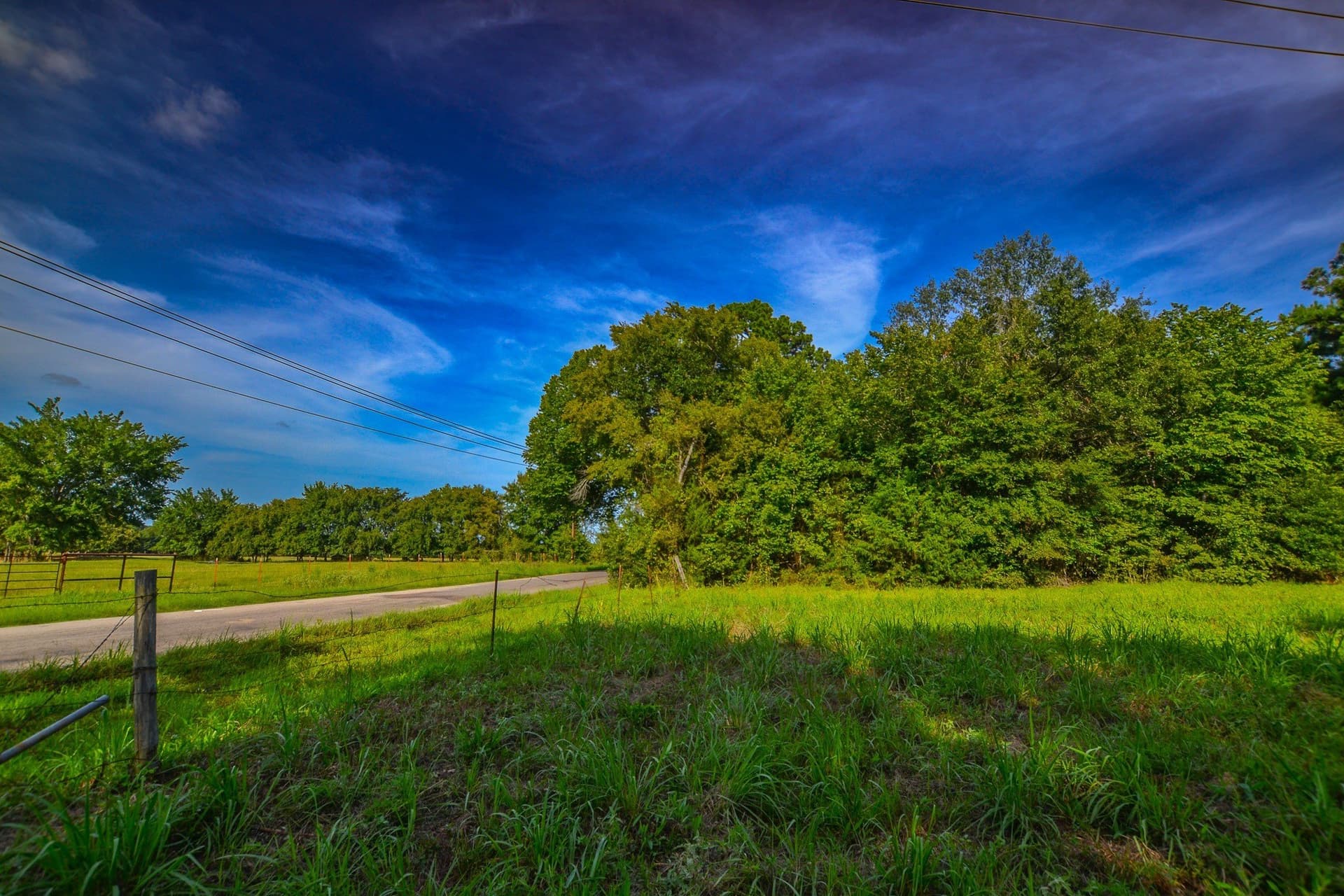 29 acres in Henderson County - photo 8