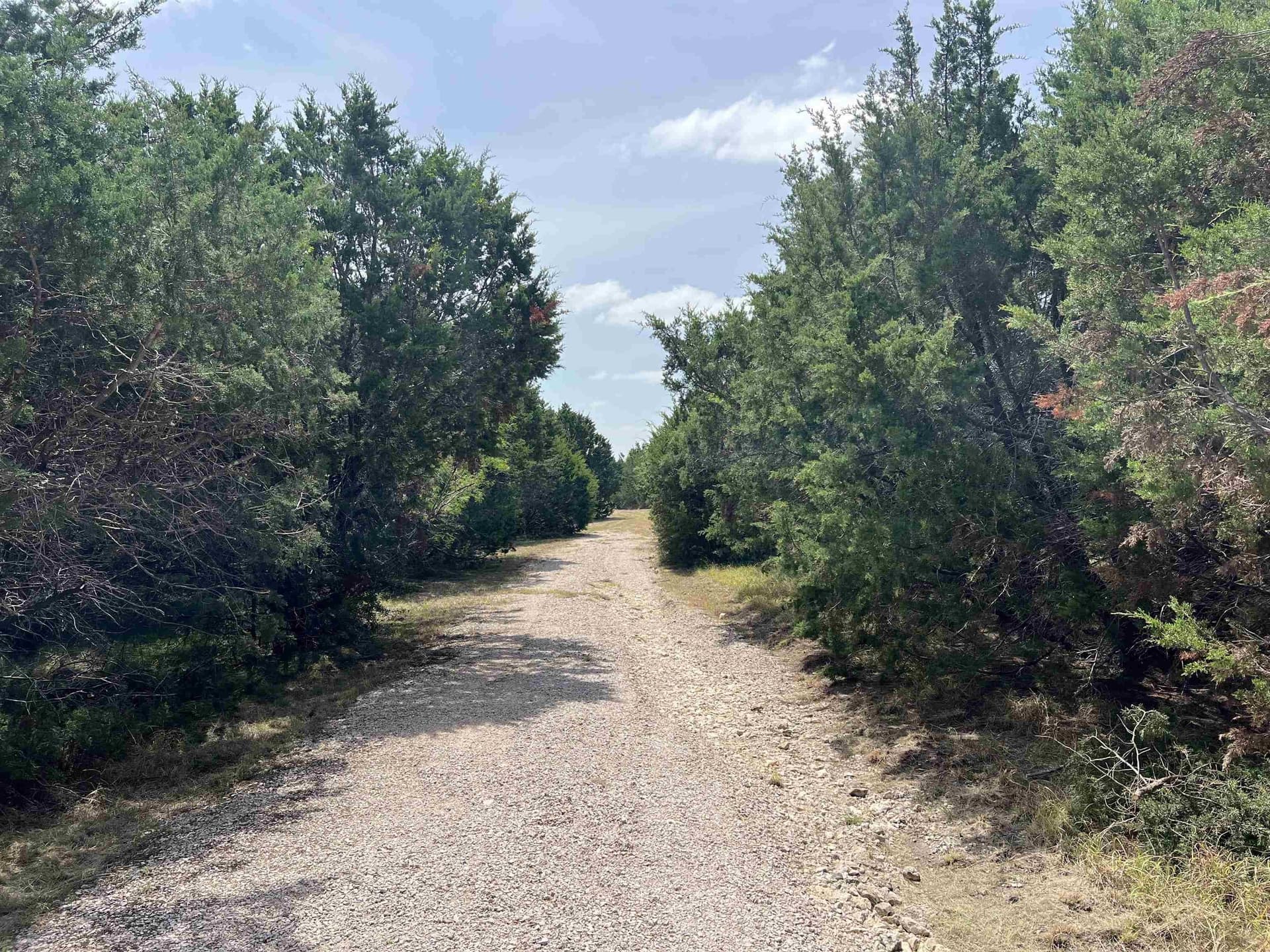 10.72 acres in Burnet County - photo 21