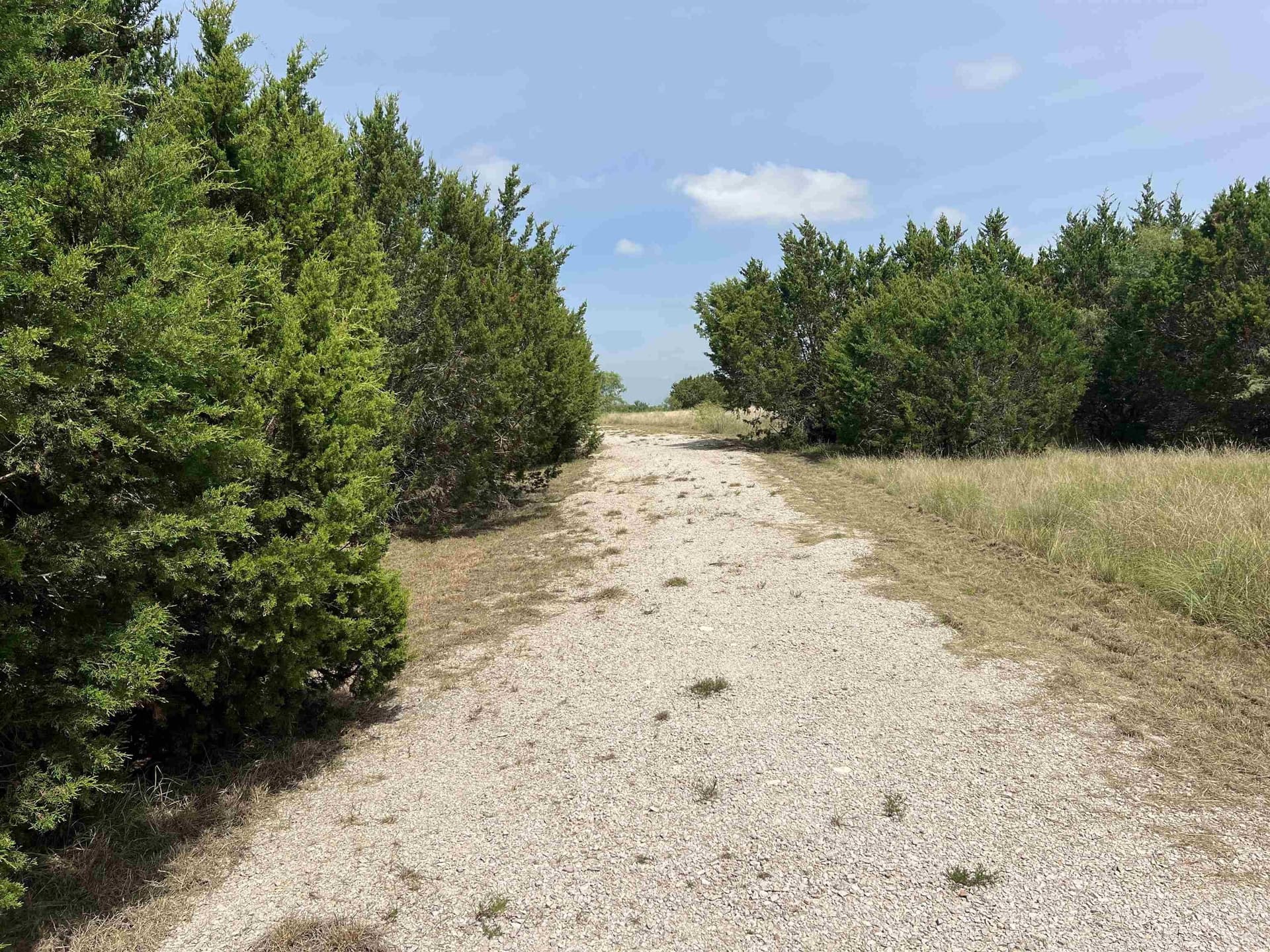 10.72 acres in Burnet County - photo 20