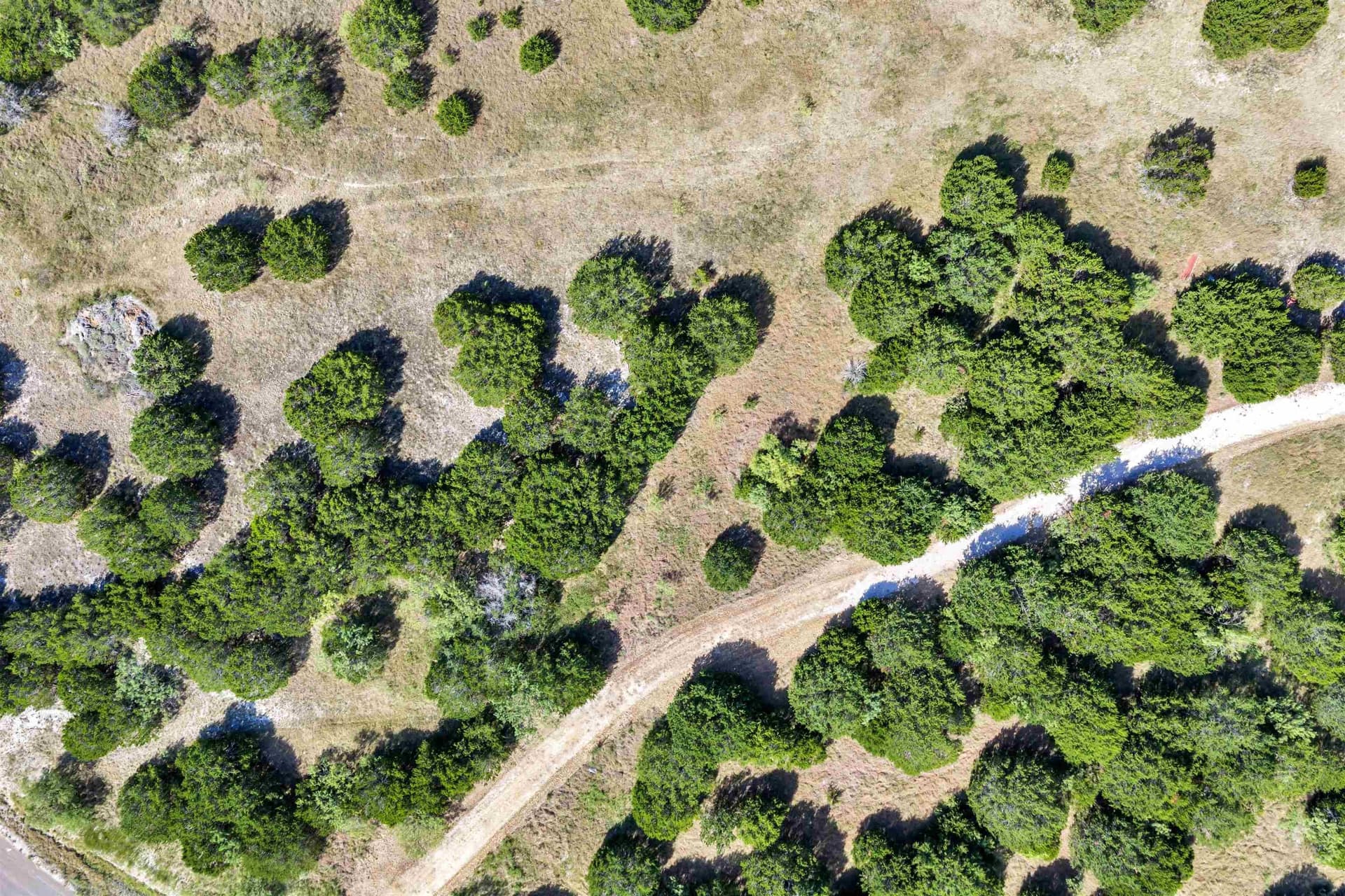10.72 acres in Burnet County - photo 40