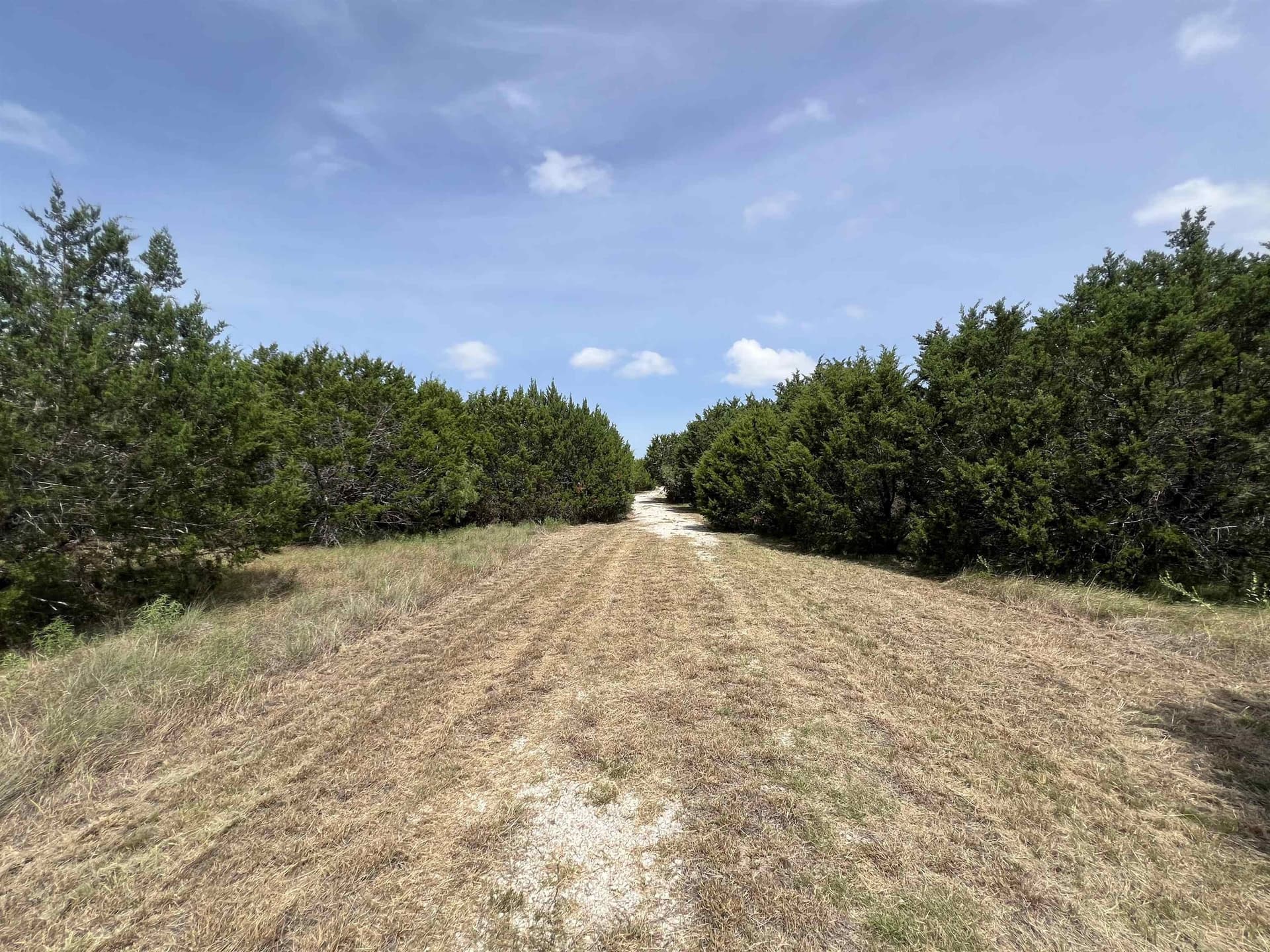 10.72 acres in Burnet County - photo 22