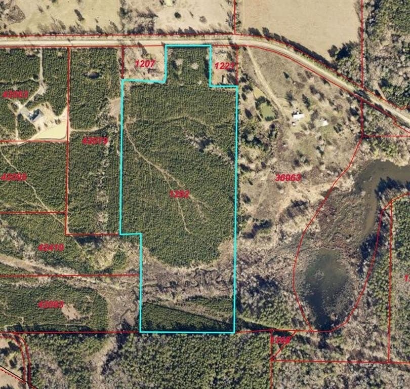 28 acres in Marion County gallery image 3