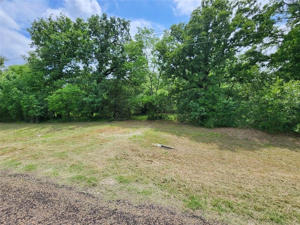 3.03 acres in Kaufman County gallery image 3