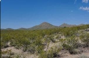 40.02 acres in Hudspeth County gallery image 4