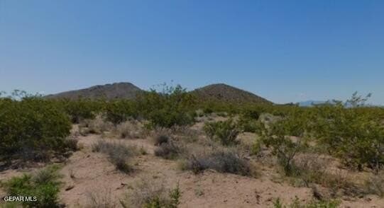 40.02 acres in Hudspeth County gallery image 3