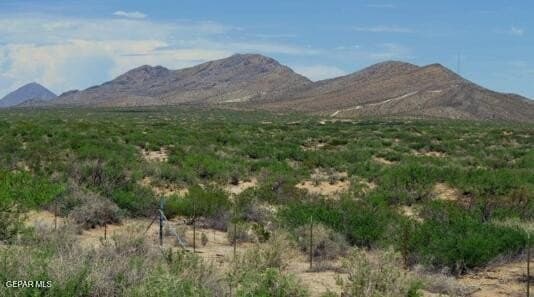 40.02 acres in Hudspeth County featured view