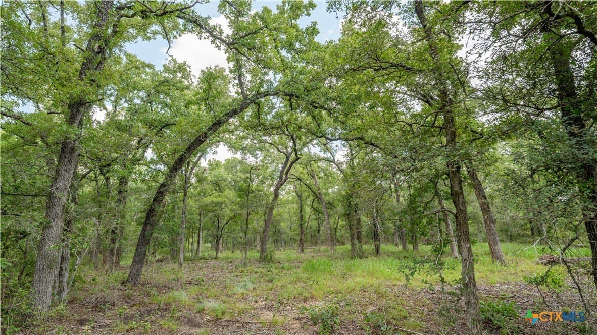 6 acres in Texas County