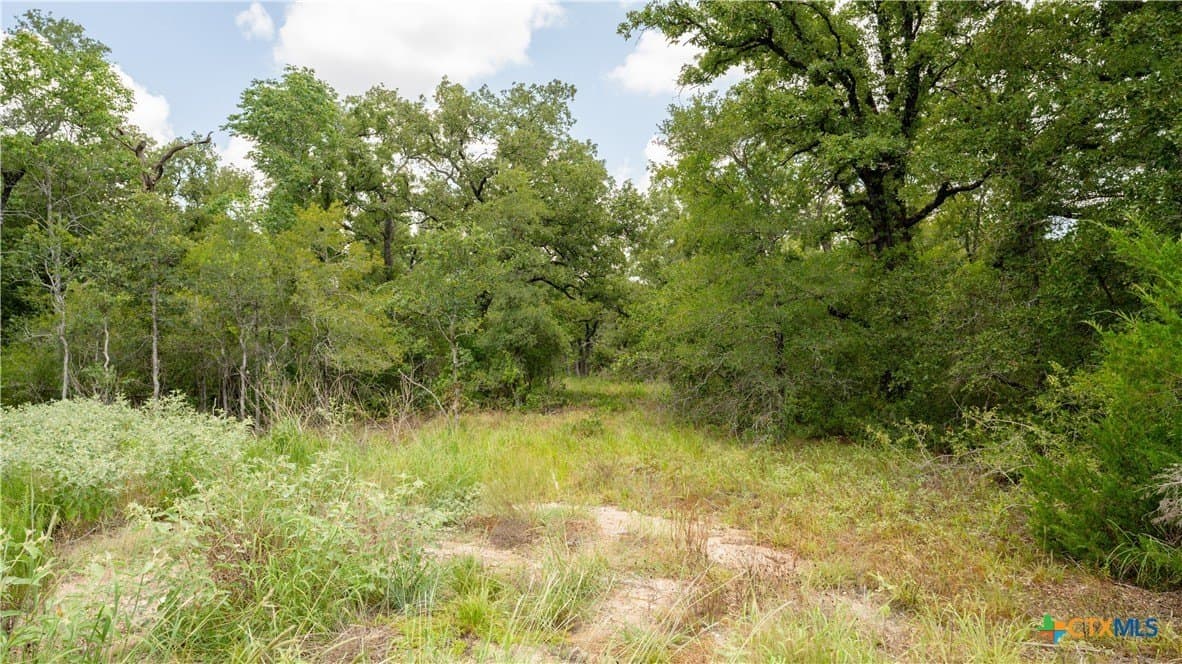 6 acres in Texas County - photo 17