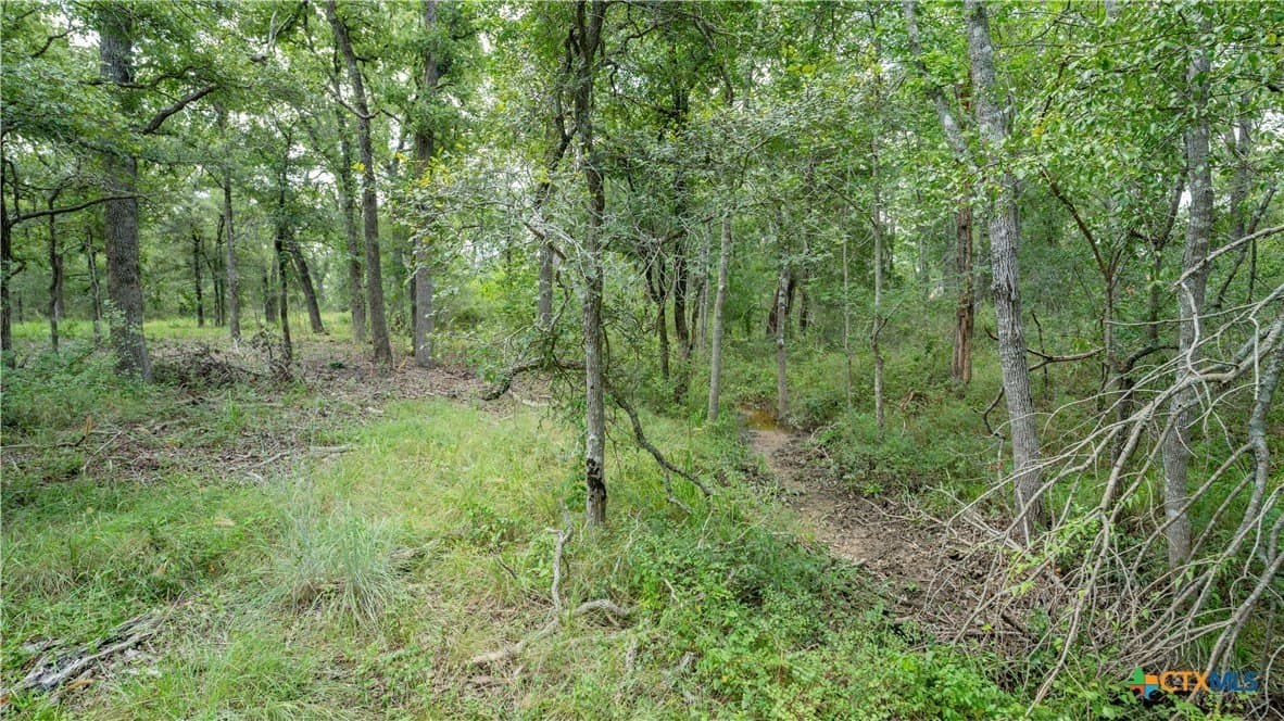6 acres in Texas County - photo 14