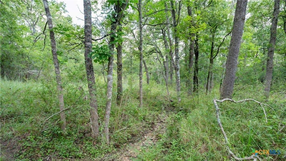 6 acres in Texas County - photo 11
