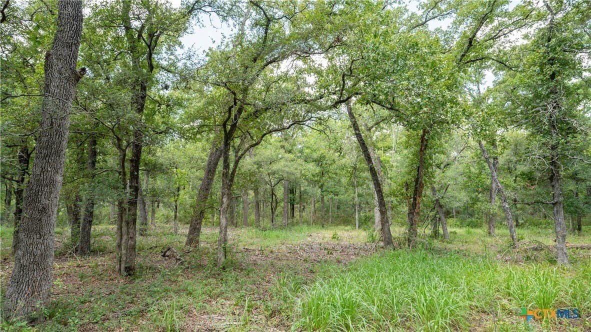 6 acres in Texas County - photo 4