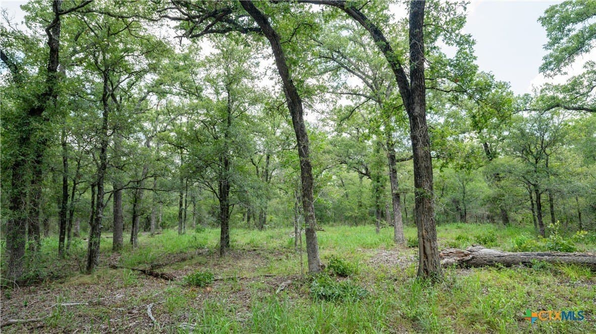 6 acres in Texas County - photo 9