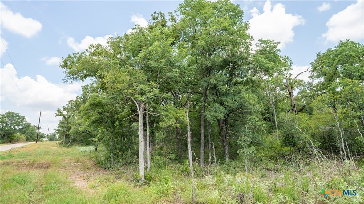 6 acres in Texas County - photo 8