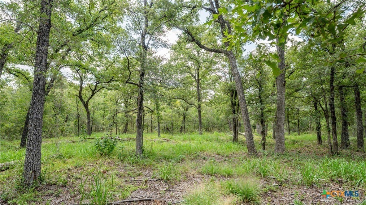 6 acres in Texas County - photo 16