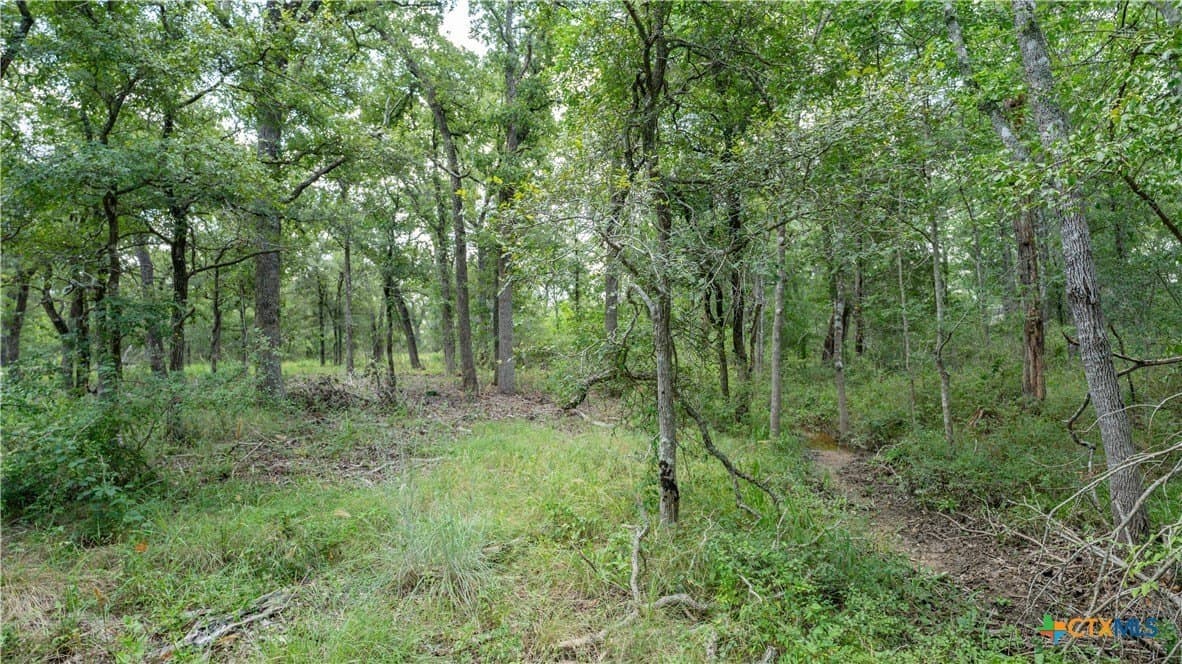 6 acres in Texas County - photo 12