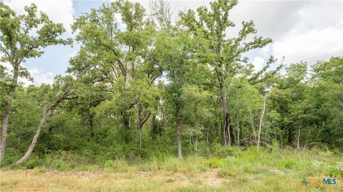 6 acres in Texas County - photo 15