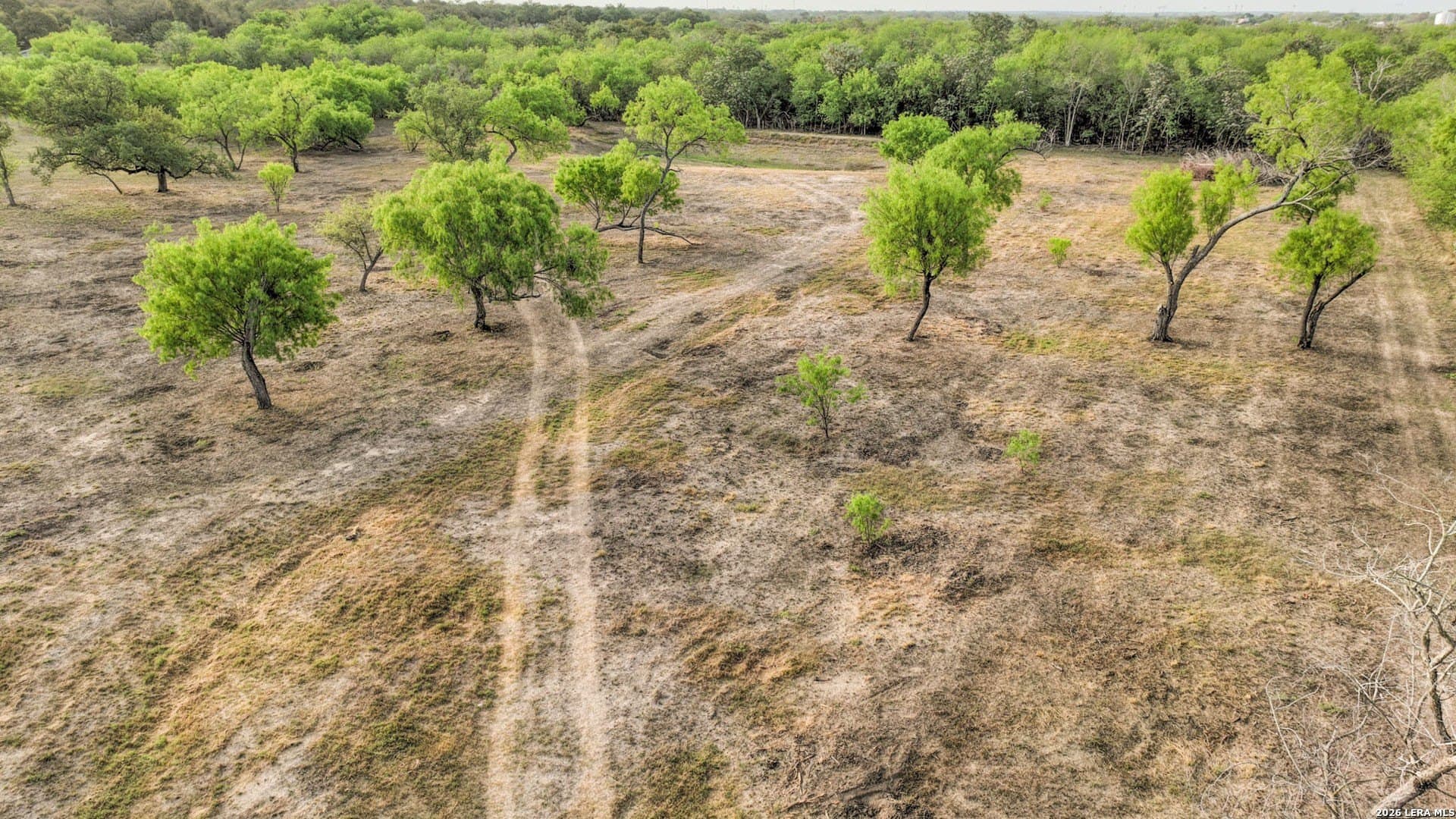 6.84 acres in Medina County - photo 18