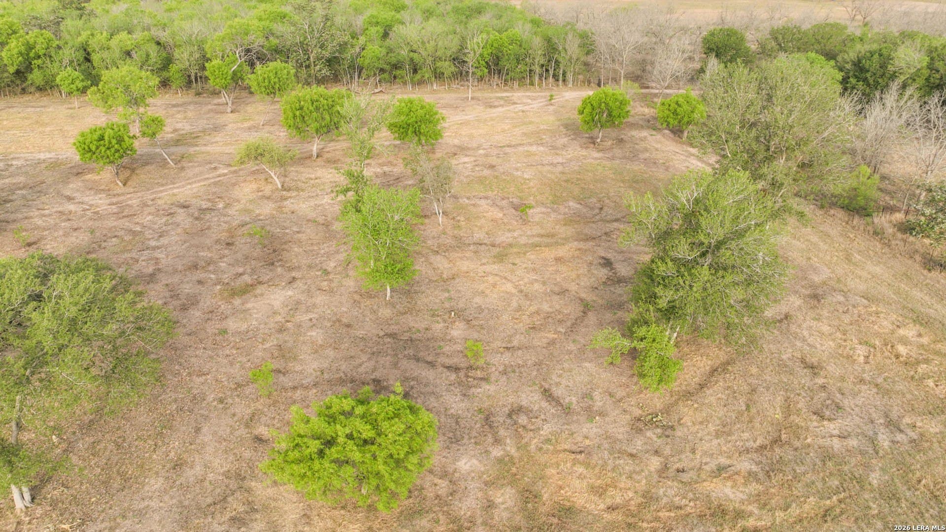 6.84 acres in Medina County - photo 21