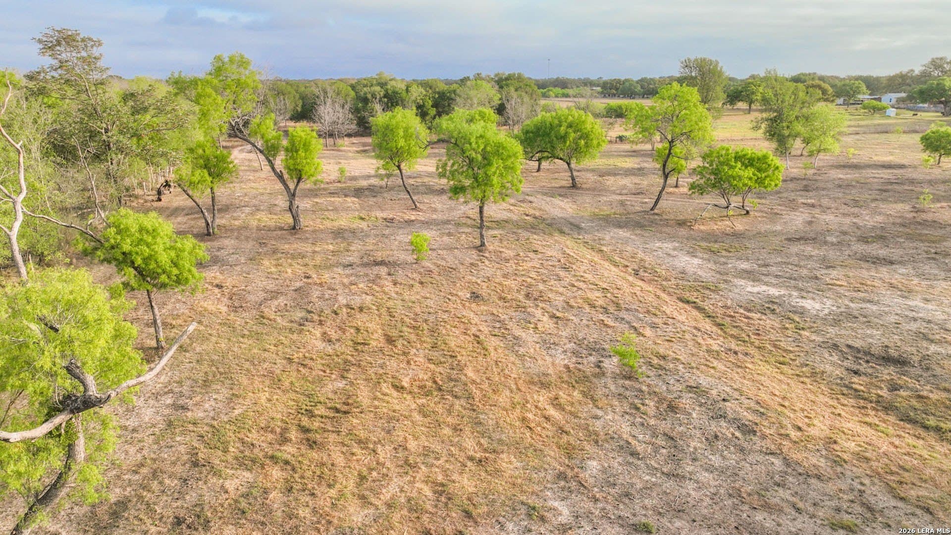 6.84 acres in Medina County - photo 14